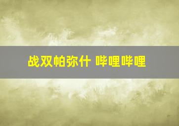 战双帕弥什 哔哩哔哩